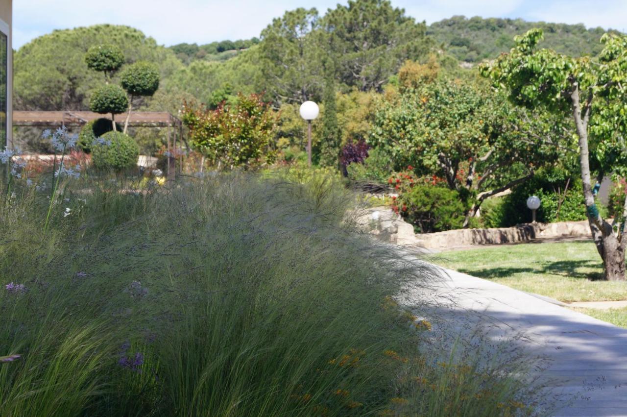 Les Jardins De Santa Giulia - Charmante Chambre D'Hote 维琪奥港 外观 照片