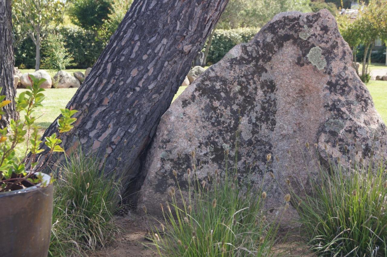 Les Jardins De Santa Giulia - Charmante Chambre D'Hote 维琪奥港 外观 照片